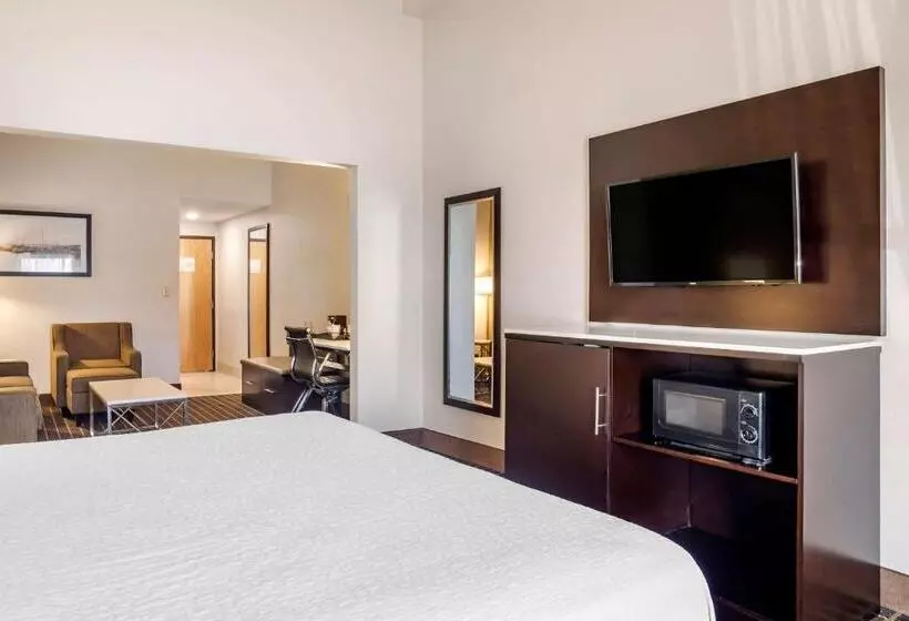 キングサイズベッドのスイートルーム, Best Western Chesapeake Bay North Inn