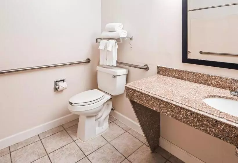 Standard-invahuone King-vuode, Best Western Inn And Suites Copperas Cove