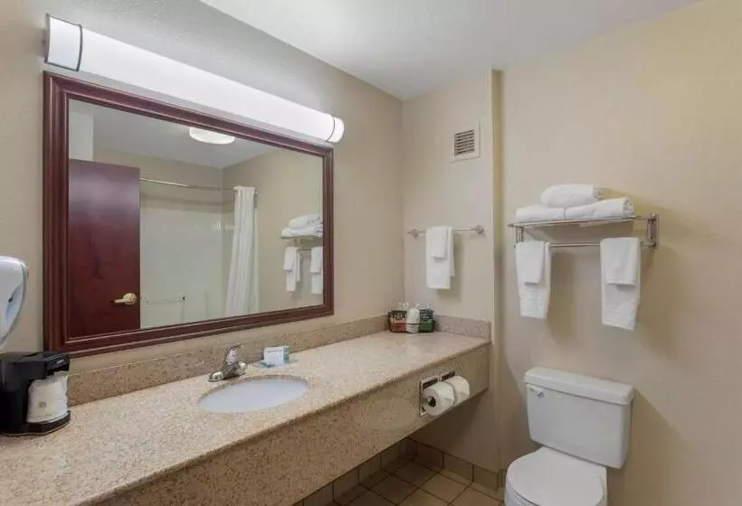 キングサイズベッドのスタンダードルーム, Best Western Lawrenceburg Inn