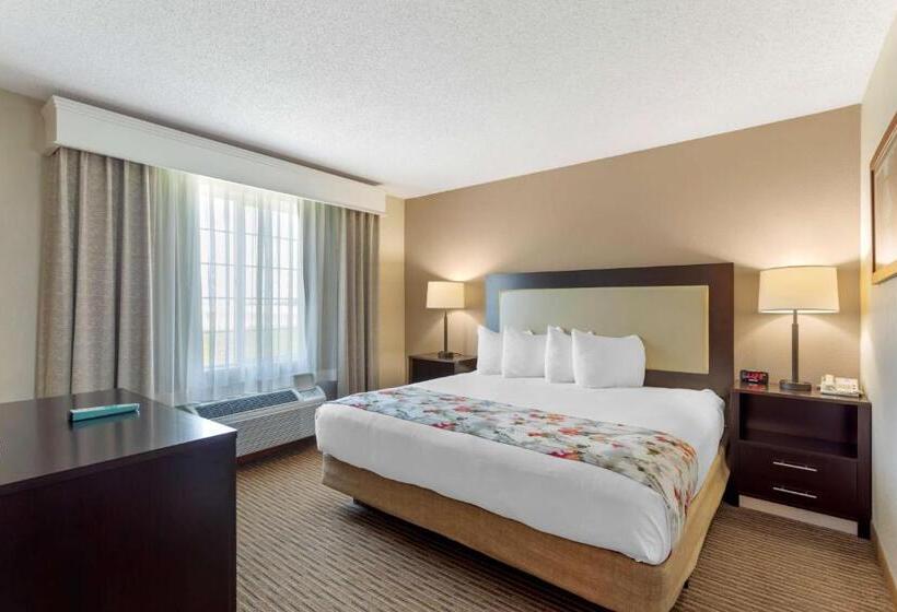 스위트 킹사이즈 침대, Best Western Lawrenceburg Inn