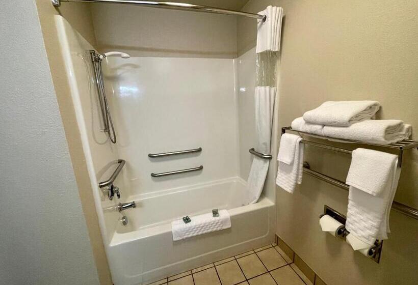 장애인을 위한 킹사이즈 침대 스탠다드 룸, Best Western Lawrenceburg Inn