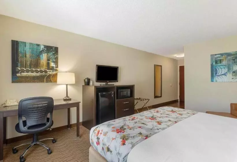 身障者適用キングサイズベッドルーム, Best Western Lawrenceburg Inn