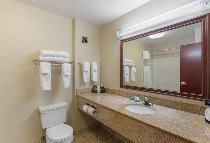 장애인을 위한 킹사이즈 침대 스탠다드 룸, Best Western Lawrenceburg Inn