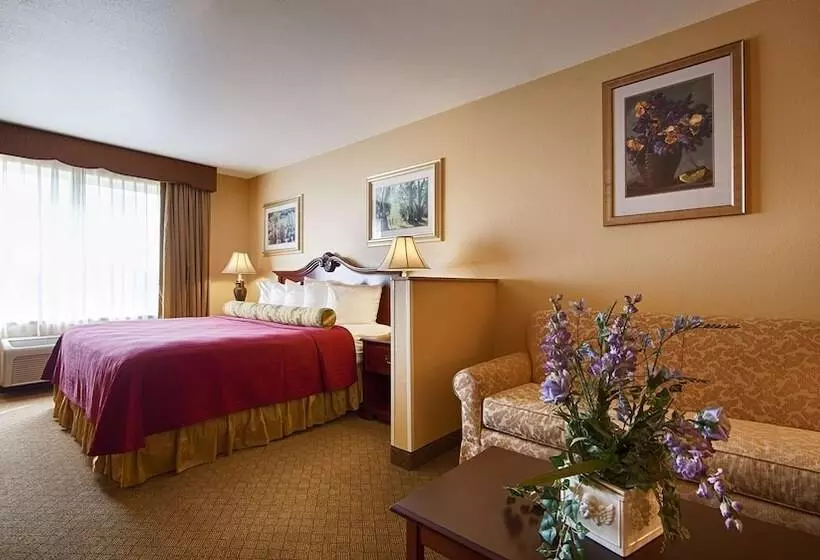 身障者適用スイートルーム, Best Western Penn Ohio Inn & Suites