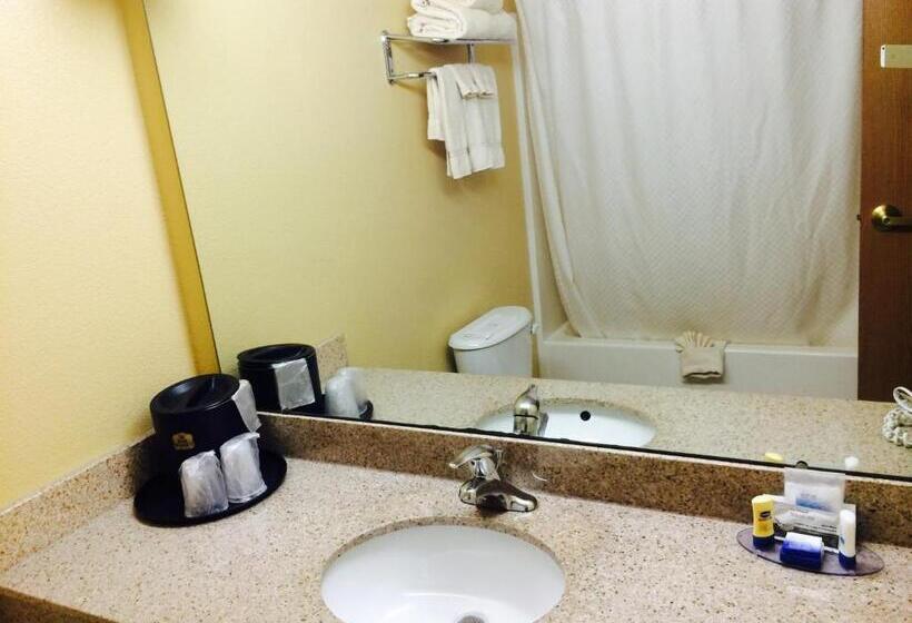 מיטת קינג בסוויטה, Best Western Penn Ohio Inn & Suites