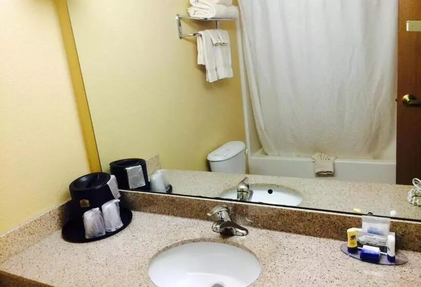 キングサイズベッドのスイートルーム, Best Western Penn Ohio Inn & Suites