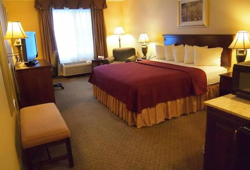 キングサイズベッドのスタンダードルーム, Best Western Penn Ohio Inn & Suites