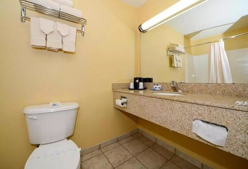 キングサイズベッドのスタンダードルーム, Best Western Penn Ohio Inn & Suites