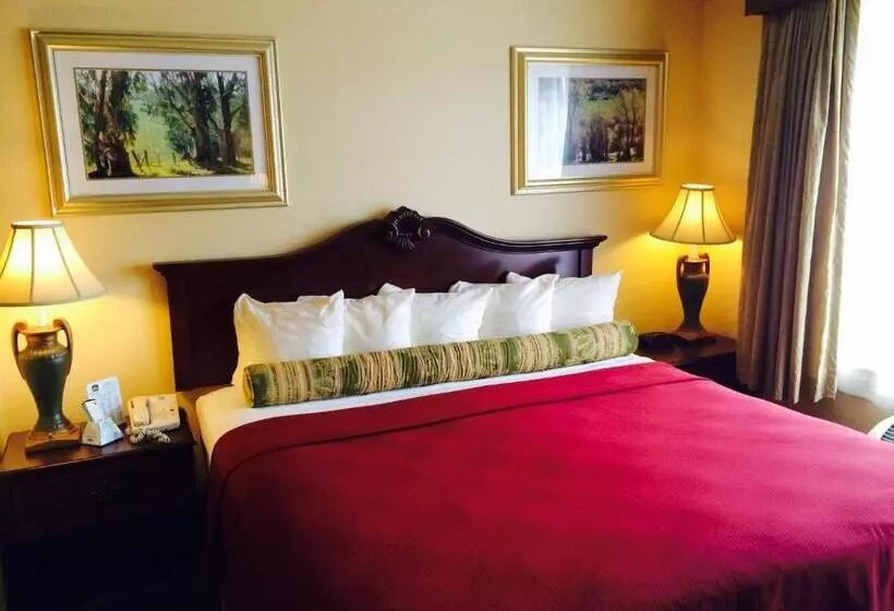 キングサイズベッドのスタンダードルーム, Best Western Penn Ohio Inn & Suites