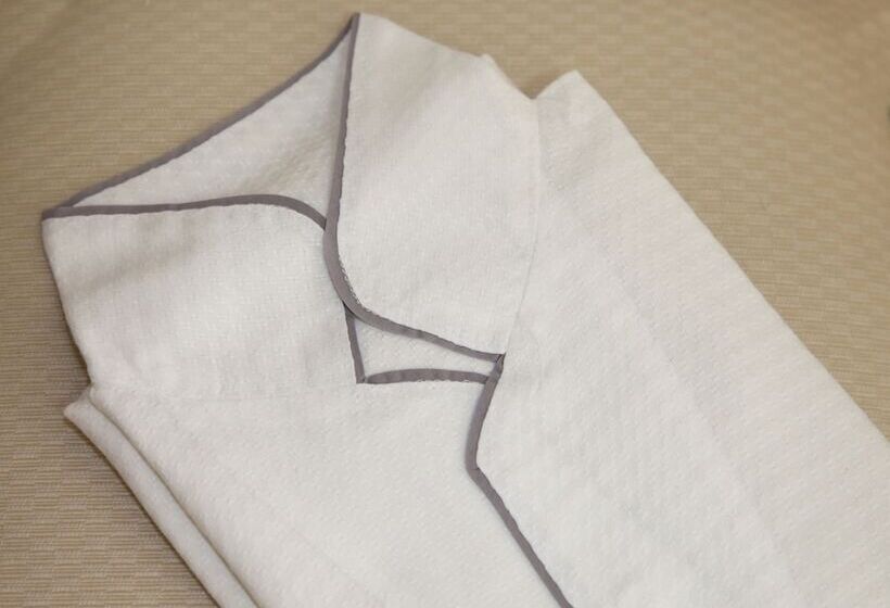 标准间, Daiwa Roynet Hotel Gifu