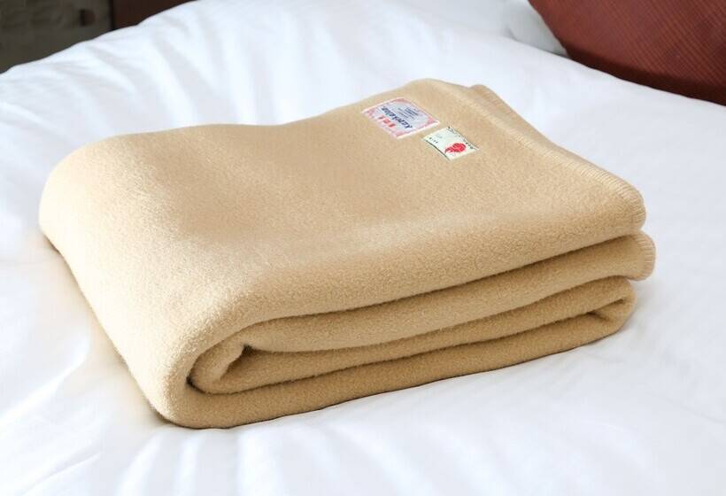 수피리어 룸, Daiwa Roynet Hotel Kawasaki