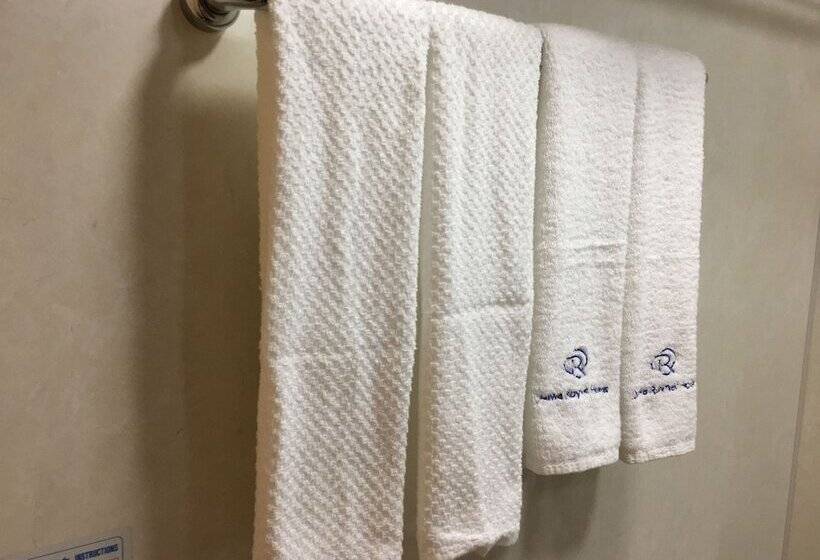 Номер Стандарт Индивидуальный, Daiwa Roynet Hotel Kawasaki