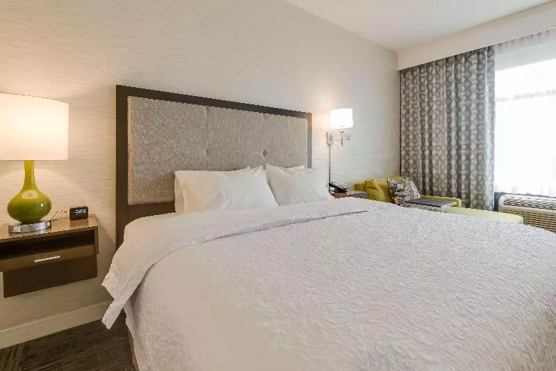 キングサイズベッドのスタンダードルーム, Hampton Inn White House