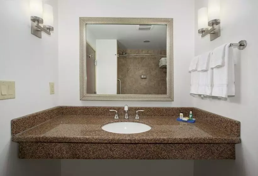 Sviitti, Holiday Inn Express Hotel & Suites Lander, An Ihg