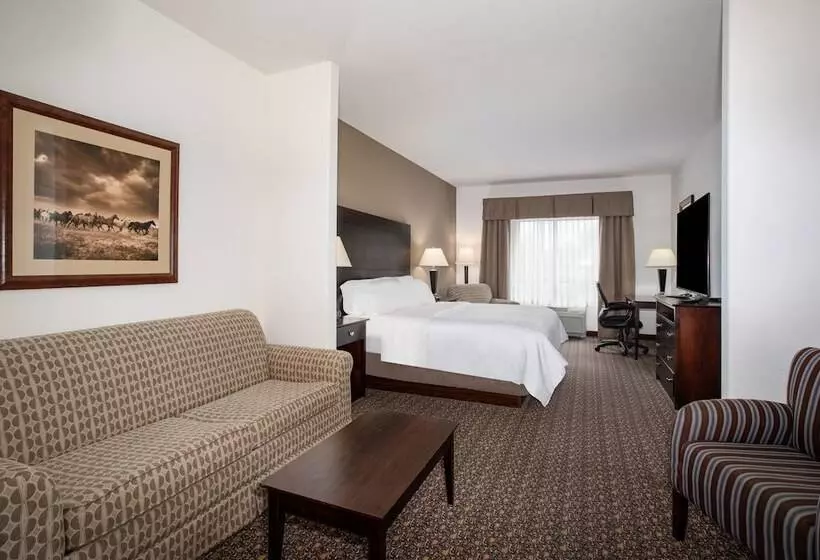 スイート, Holiday Inn Express Hotel & Suites Lander, An Ihg