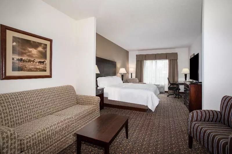キングサイズベッドのスイートルーム, Holiday Inn Express Hotel & Suites Lander, An Ihg