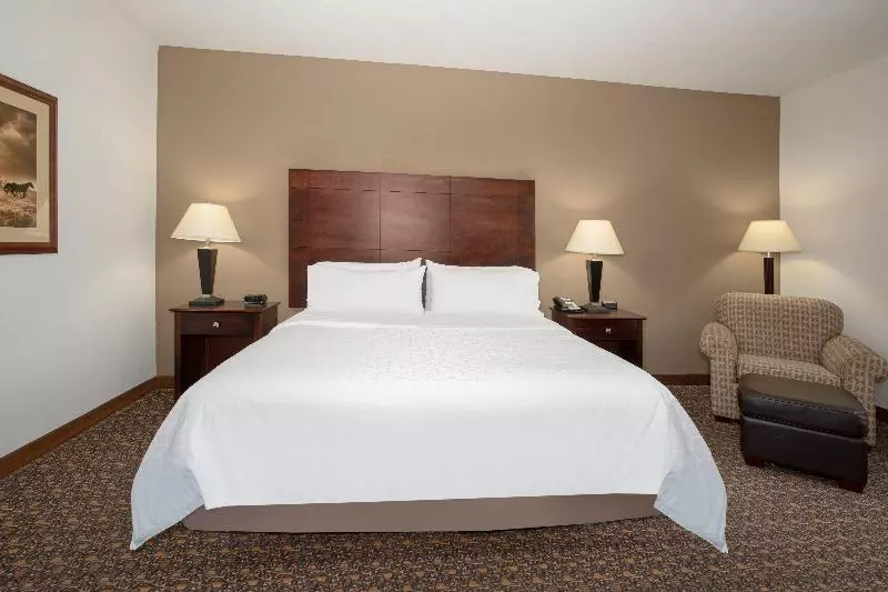 Standard-huone King-vuode, Holiday Inn Express Hotel & Suites Lander, An Ihg