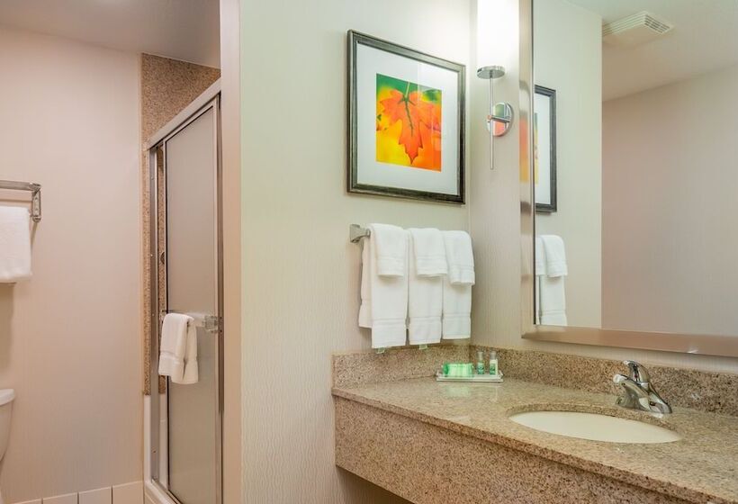 스탠다드 룸, Holiday Inn Stevens Point   Convention Center, An Ihg