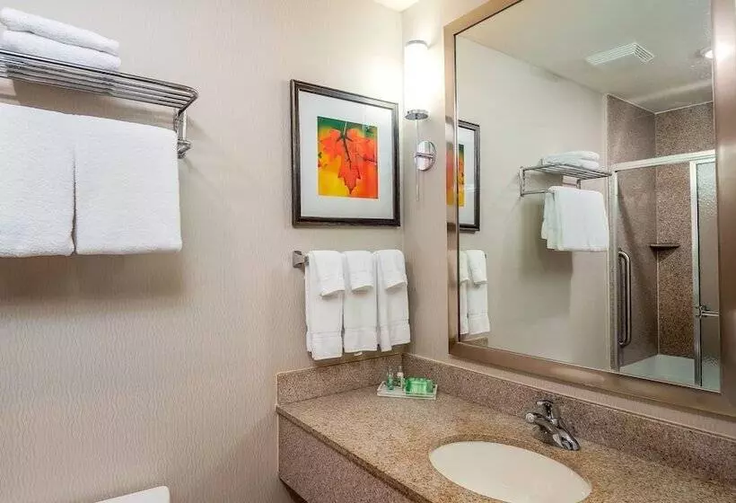 スイート, Holiday Inn Stevens Point   Convention Center, An Ihg