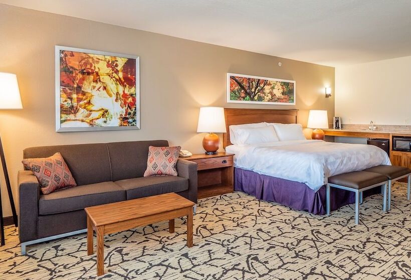 스위트, Holiday Inn Stevens Point   Convention Center, An Ihg