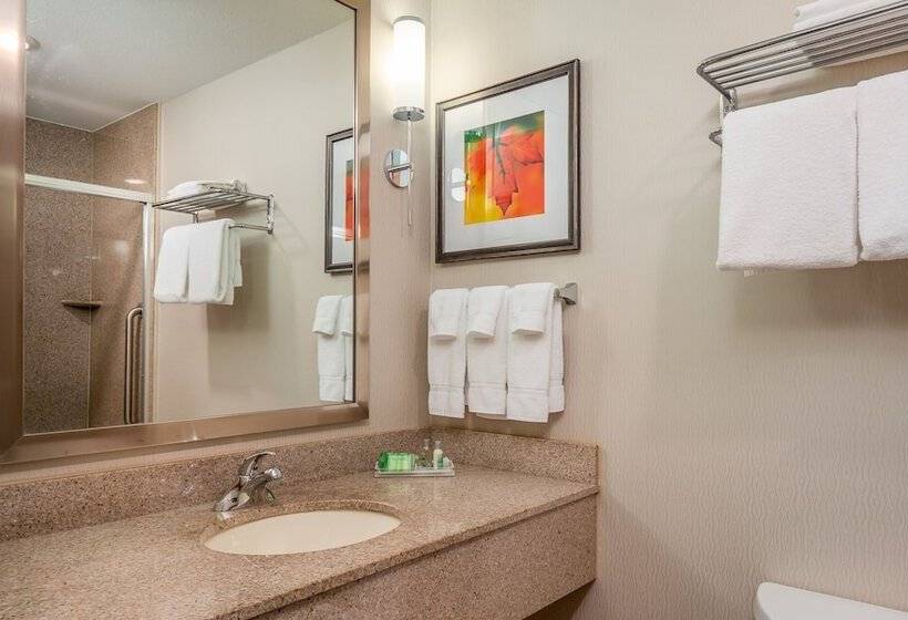 장애인을 위한 스위트, Holiday Inn Stevens Point   Convention Center, An Ihg
