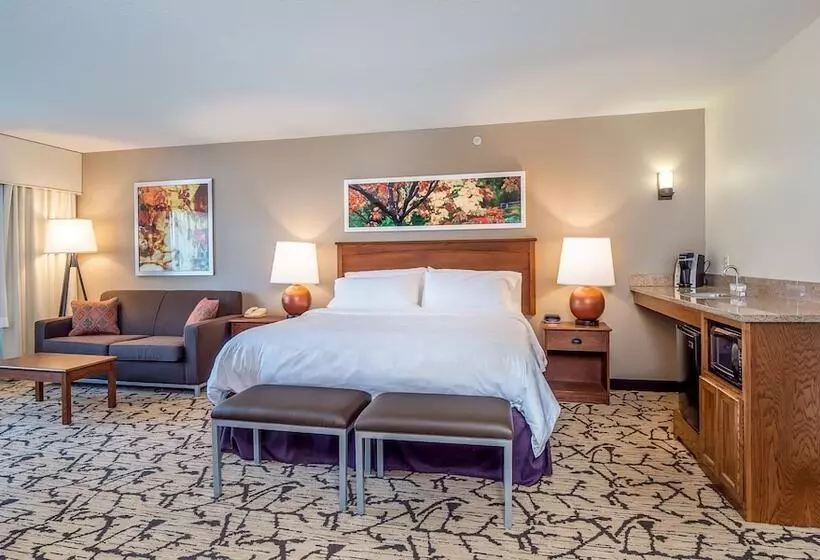 スイート, Holiday Inn Stevens Point   Convention Center, An Ihg