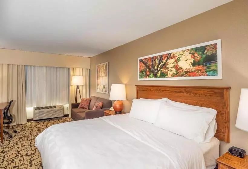 キングサイズベッドのスタンダードルーム, Holiday Inn Stevens Point   Convention Center, An Ihg