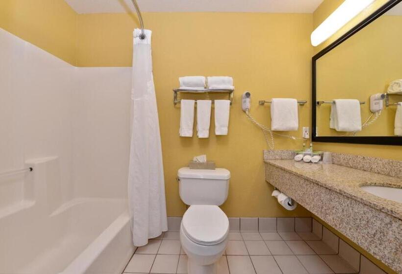 스탠다드 룸 킹사이즈 침대, Holiday Inn Stevens Point   Convention Center, An Ihg