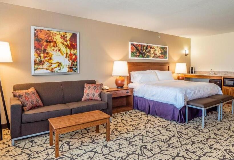 이그제큐티브 스위트 킹침대, Holiday Inn Stevens Point   Convention Center, An Ihg