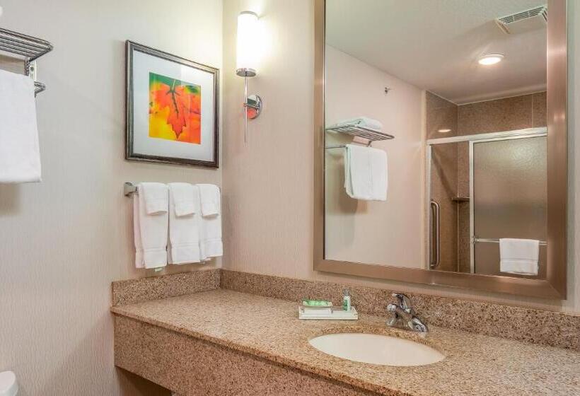 带双人大床的行政管理套房, Holiday Inn Stevens Point Convention Center, An Ihg