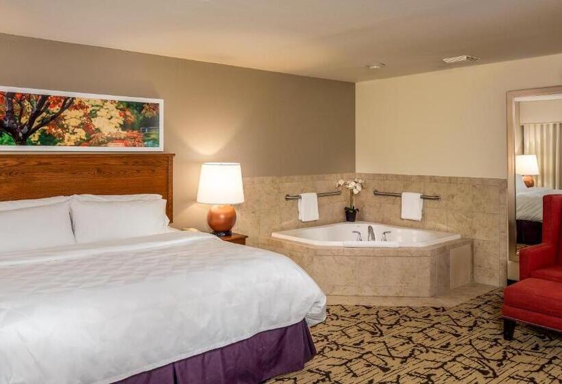 带大床的标准间, Holiday Inn Stevens Point Convention Center, An Ihg