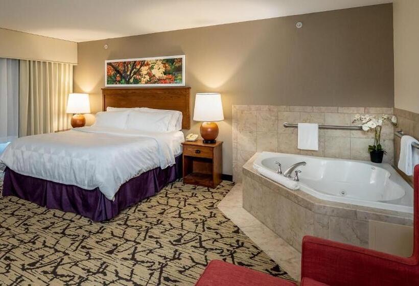 带大床的标准间, Holiday Inn Stevens Point Convention Center, An Ihg