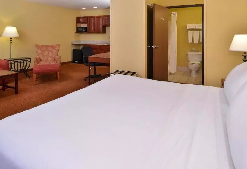 デラックススイート, Holiday Inn Stevens Point   Convention Center, An Ihg