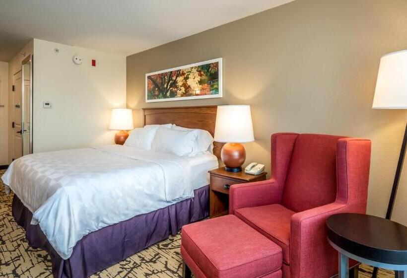 스위트 킹사이즈 침대, Holiday Inn Stevens Point   Convention Center, An Ihg