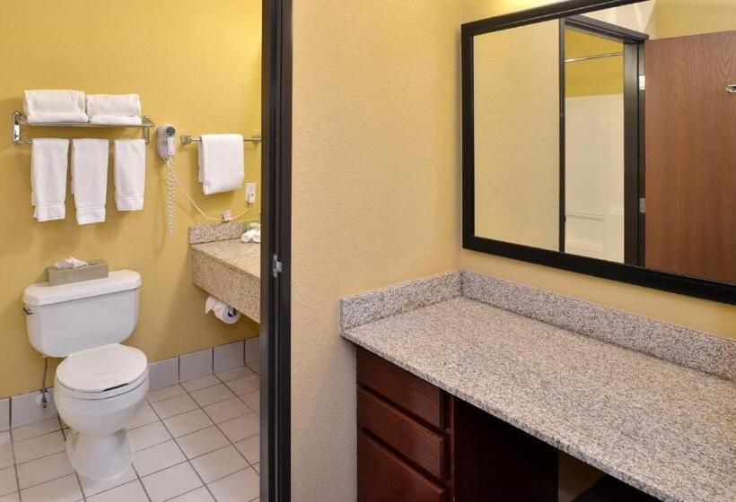 套房, Holiday Inn Stevens Point Convention Center, An Ihg