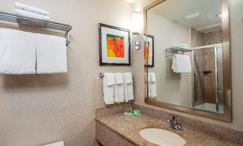 带大床的套房, Holiday Inn Stevens Point Convention Center, An Ihg