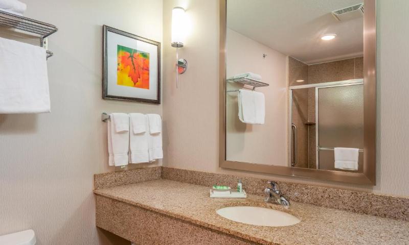 스위트 킹사이즈 침대, Holiday Inn Stevens Point   Convention Center, An Ihg