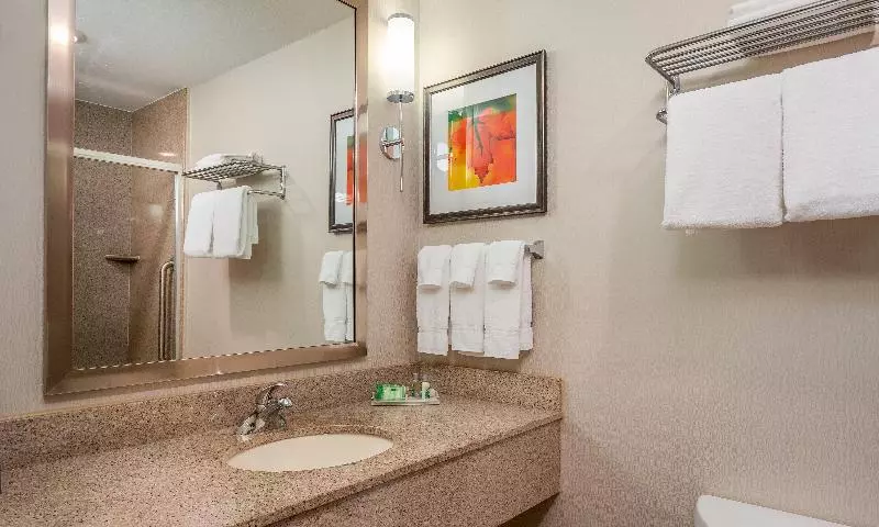 キングサイズベッドのスタンダードルーム, Holiday Inn Stevens Point   Convention Center, An Ihg