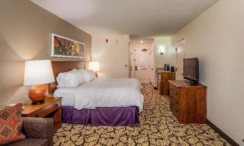 キングサイズベッドのスタンダードルーム, Holiday Inn Stevens Point   Convention Center, An Ihg