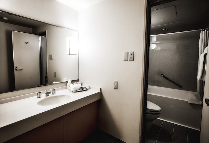 基本间, Oarks Canal Park Hotel Toyama