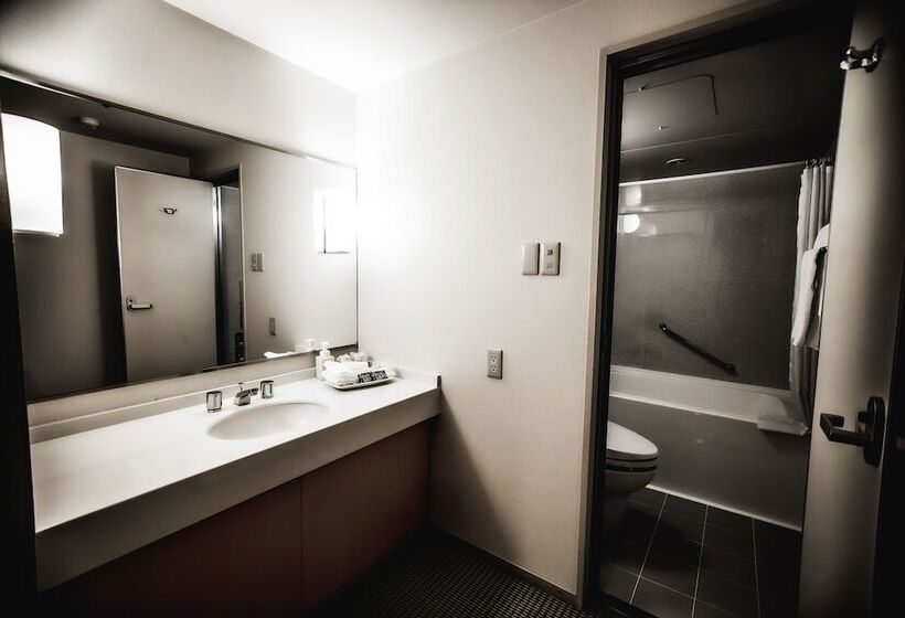 ベーシックルーム, Oarks Canal Park Hotel Toyama