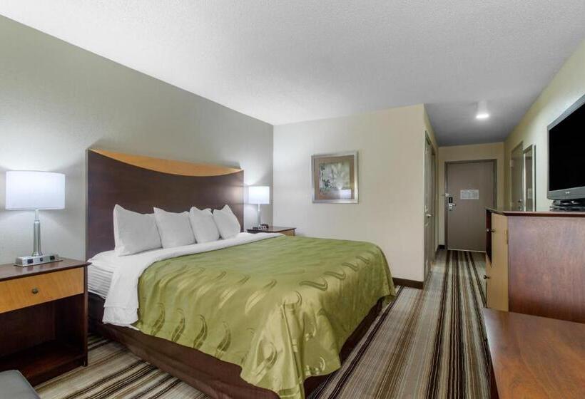 غرفة قياسية سرير كينج, Quality Inn I81 Exit 23