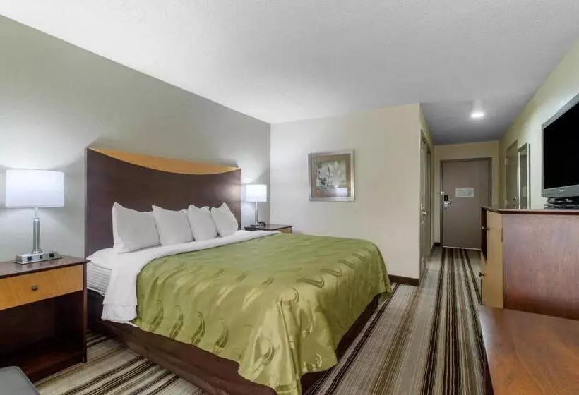 キングサイズベッドのスタンダードルーム, Quality Inn I81 Exit 23