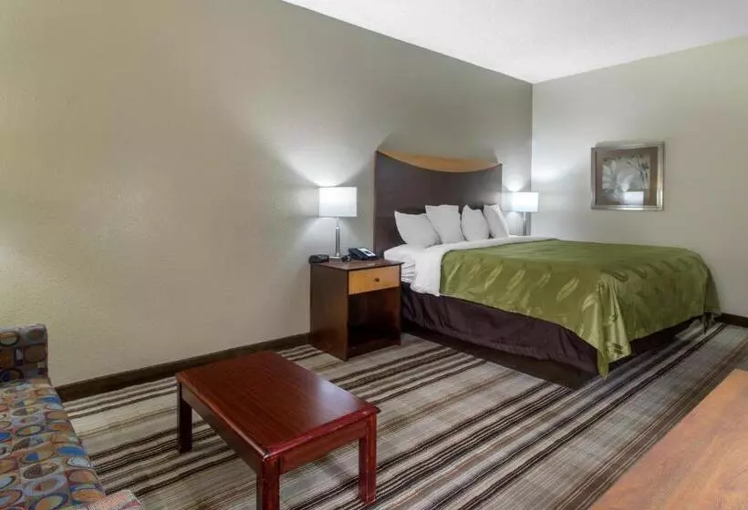 キングサイズベッドのスタンダードルーム, Quality Inn I81 Exit 23