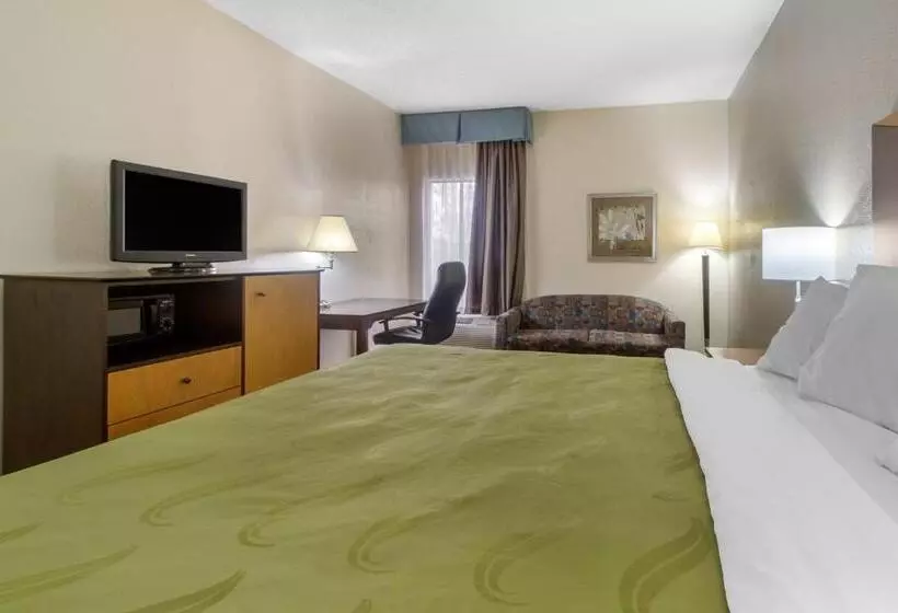 キングサイズベッドのスタンダードルーム, Quality Inn I81 Exit 23