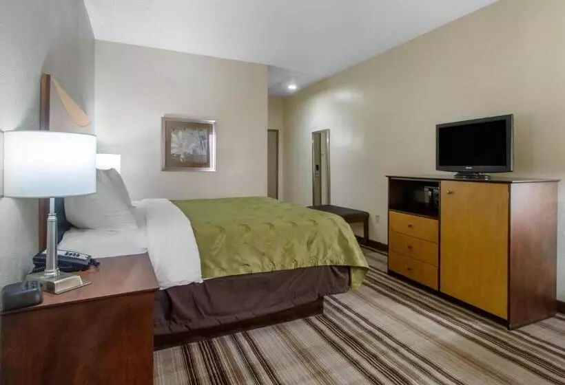 キングサイズベッドのスタンダードルーム, Quality Inn I81 Exit 23