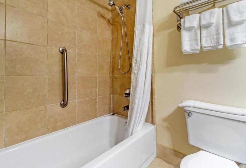 غرفة قياسية سرير كينج, Quality Inn I81 Exit 23