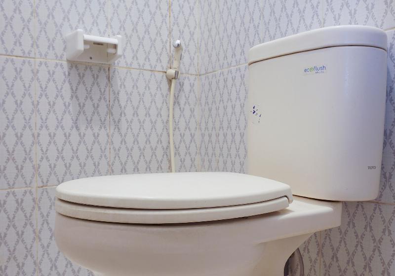 Полулюкс, The Alts