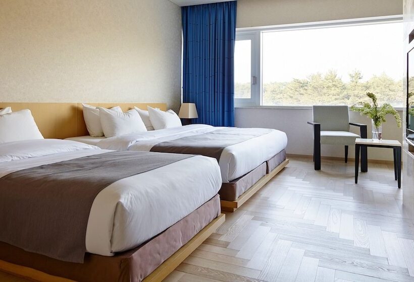 חדר דלוקס, Kinock Pet