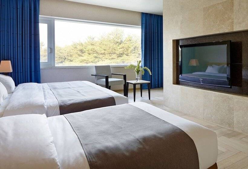 חדר דלוקס, Kinock Pet